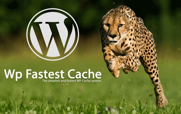 Plugin-Cache-Terbaik-Untuk-Mempercepat-Loading-Blog-WordPress-wp-fastest-cache