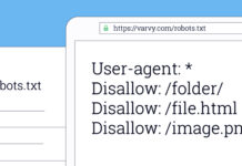 Cara Membuat File Robots.txt di WordPress Self Hosting robots txt